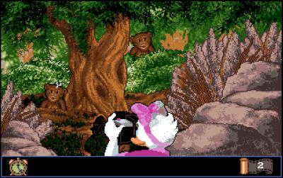 Beim Fotografieren müssen wir schauen, dass wir vor allem die seltenen Tiere auf unseren zwölf Bildern erwischen.