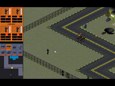 Auch aus einiger Entfernung kommen sie dann angelaufen.