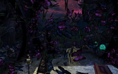 Der erste Eintritt in die Shivering Isles - Teil 2