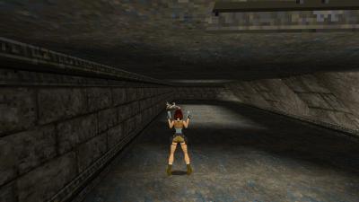 Ein toter Wolf im Original