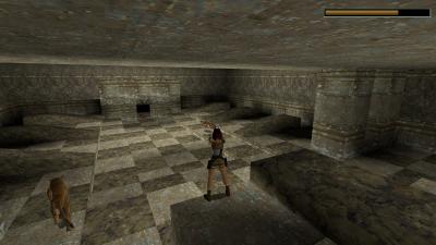 Die Löween warten auf frisches Fleisch von Croft. Wir füttern sie mit Patronen.