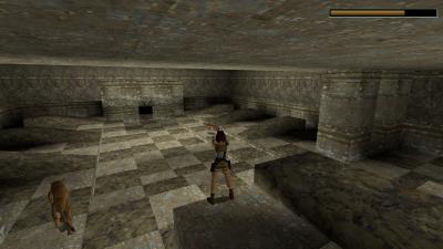 Die Löween warten auf frisches Fleisch von Croft. Wir füttern sie mit Patronen.