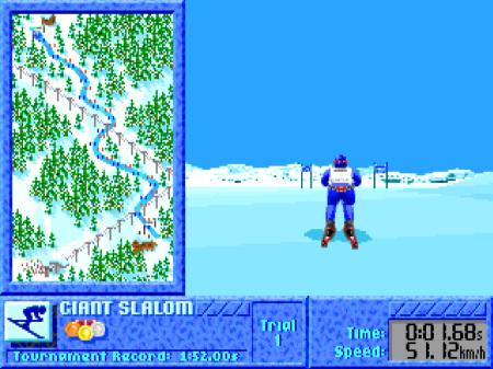 Slalom - Immer durch die richtigen Fahnen durch.